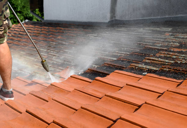 Best Pressure Washing Contractors  in Halls, TN