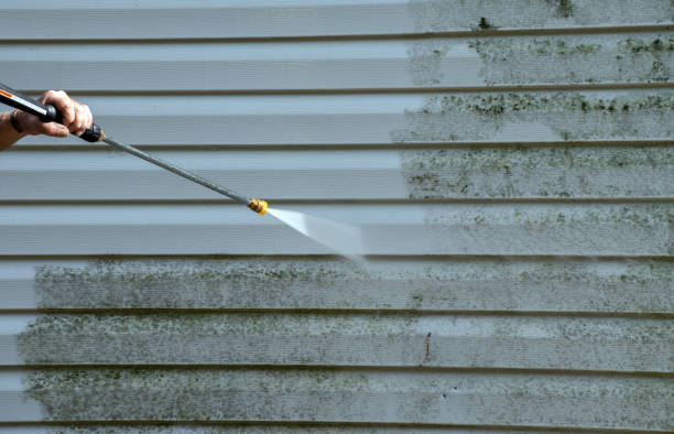 Why Choose Our Certified Pressure Washing Experts for Your Project Needs in Halls, TN?