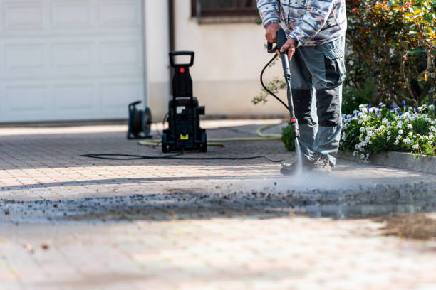Best Pressure Washing Company Near Me  in Halls, TN