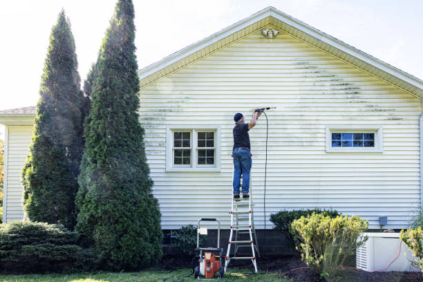 Why Choose Our Certified Pressure Washing Experts for Your Project Needs in Halls, TN?