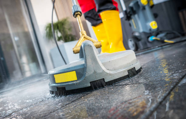 Best Best Pressure Washing Companies  in Halls, TN